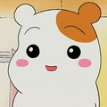 钟定羽