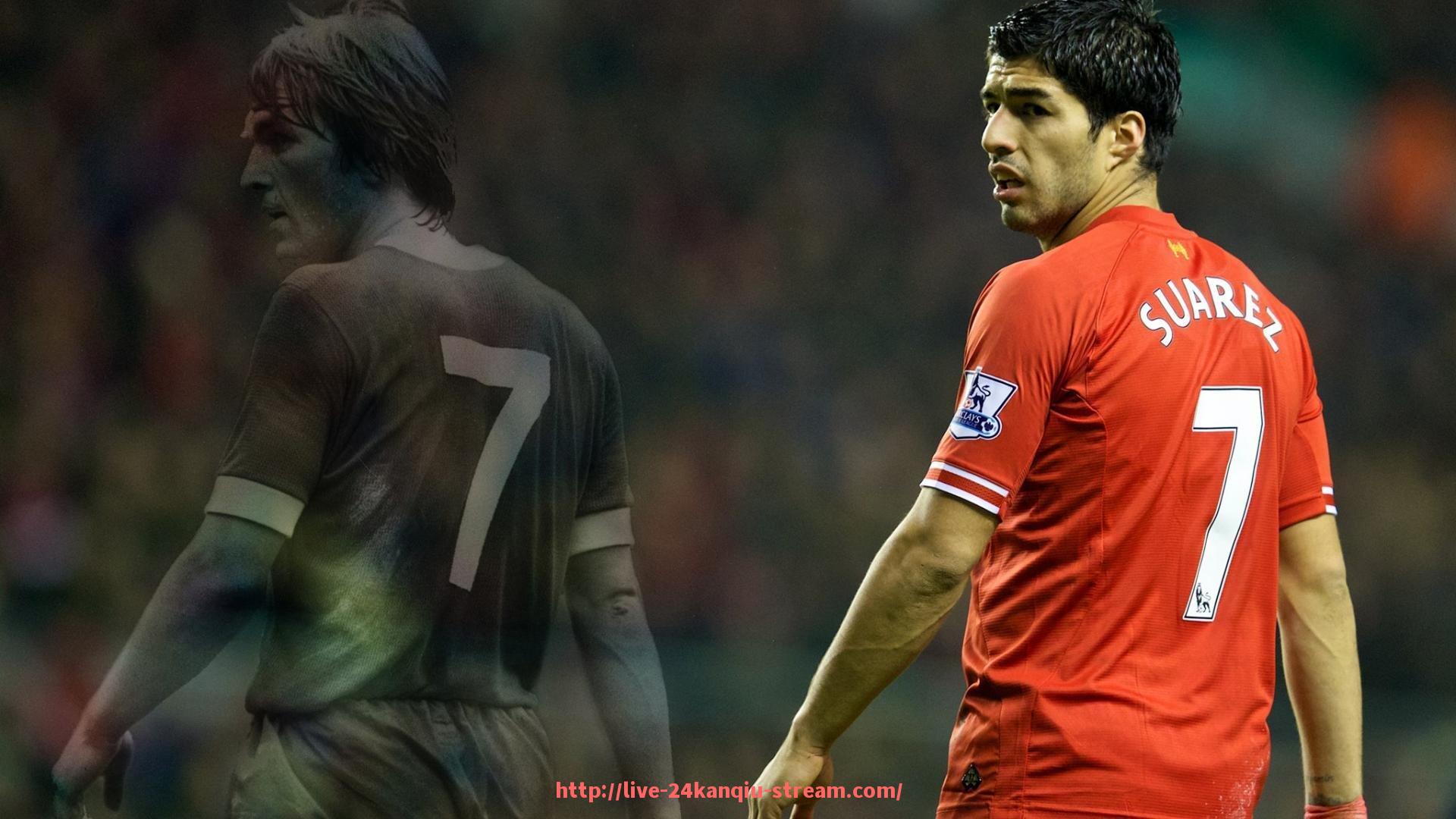 24看球直播网-背部健身器械推荐及训练动作详解助力塑造完美线条